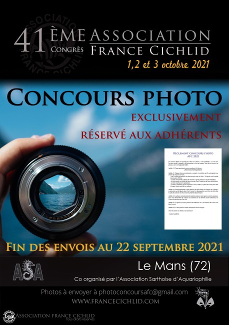 concours-photo2.jpg