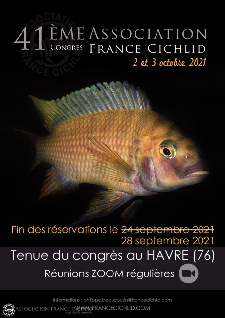 nouvelle-affiche2.jpg