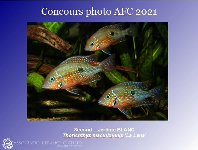 concoursafc2021n2.jpg