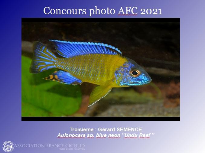 concoursafc2021n3.jpg