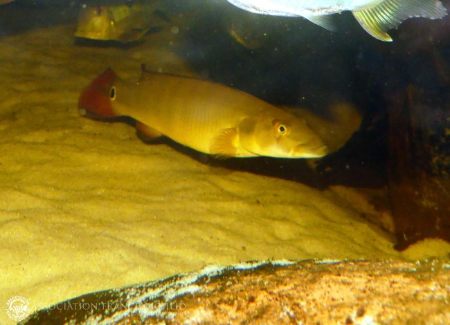 P1210143.JPG