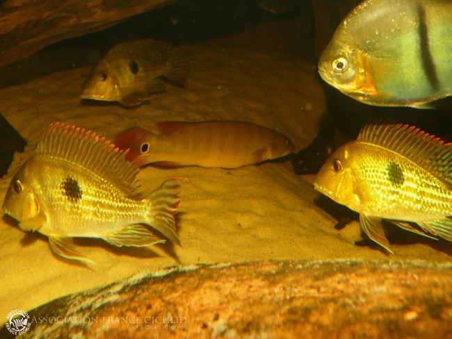 P1210146.JPG