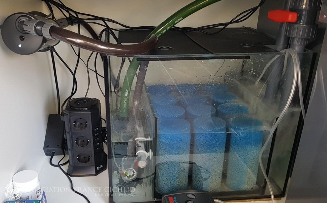 Filtration (50 litres) en fonction