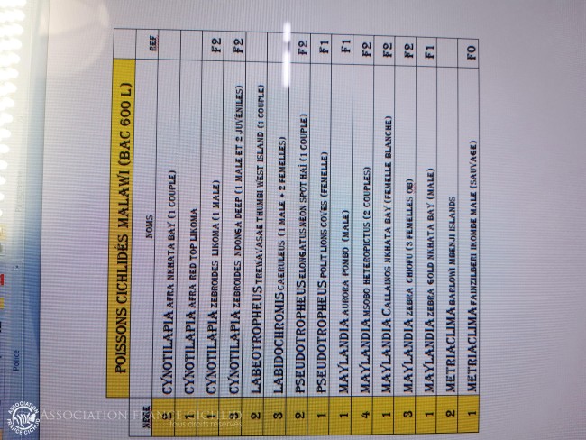 Listing 600 litres.jpg