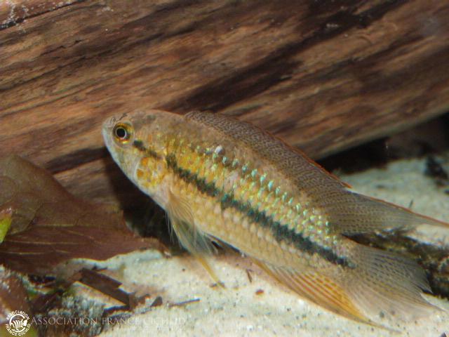 P1200043.JPG