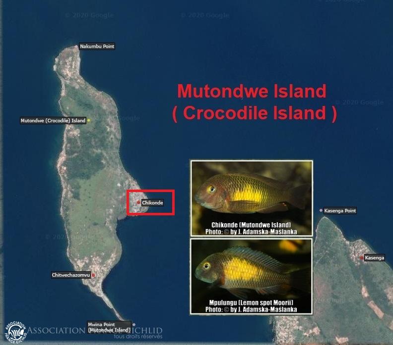 Mutwonde-Island-Chikonde-03.jpg