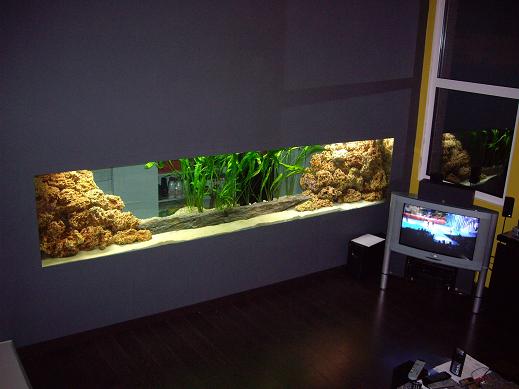 aquarium5 002essai.JPG