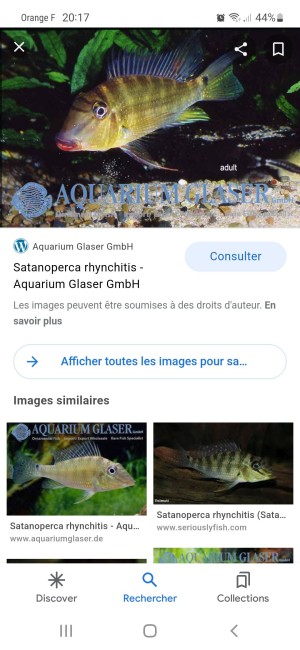 Screenshot_20220914-201722_Google.jpg