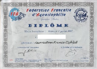 sans titre1.jpg