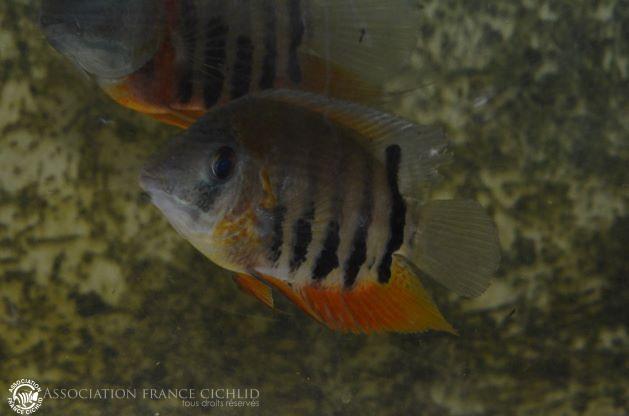 PHI_3295.JPG