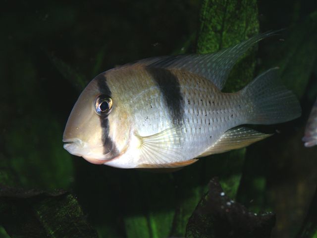 PICT0221.JPG