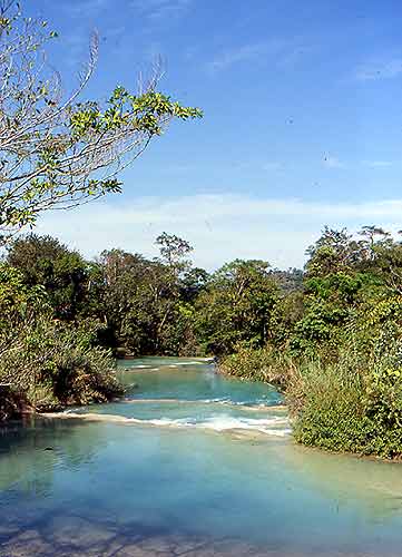 agua_azul_dubosc.jpg