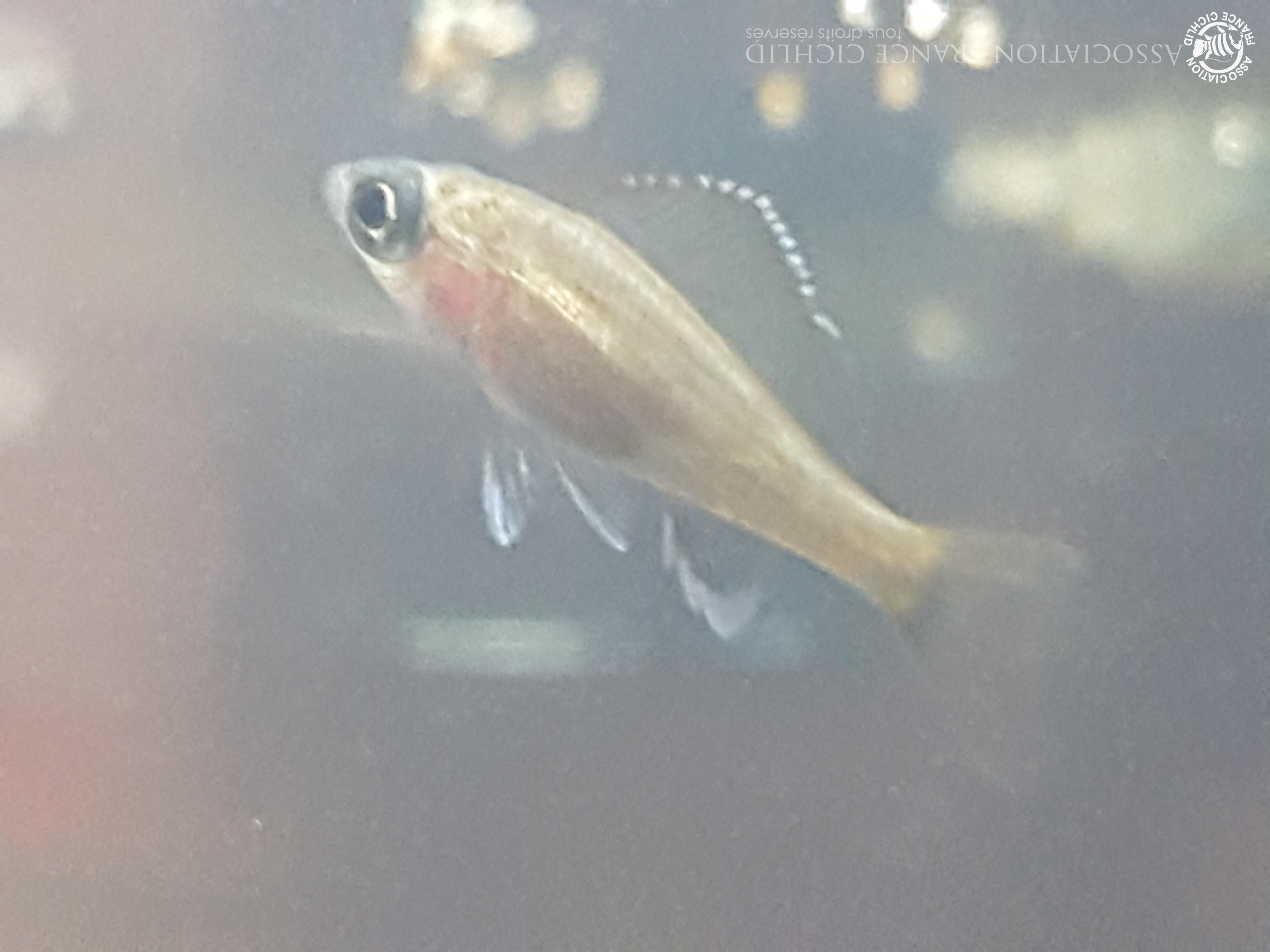 20231019_174238.jpg