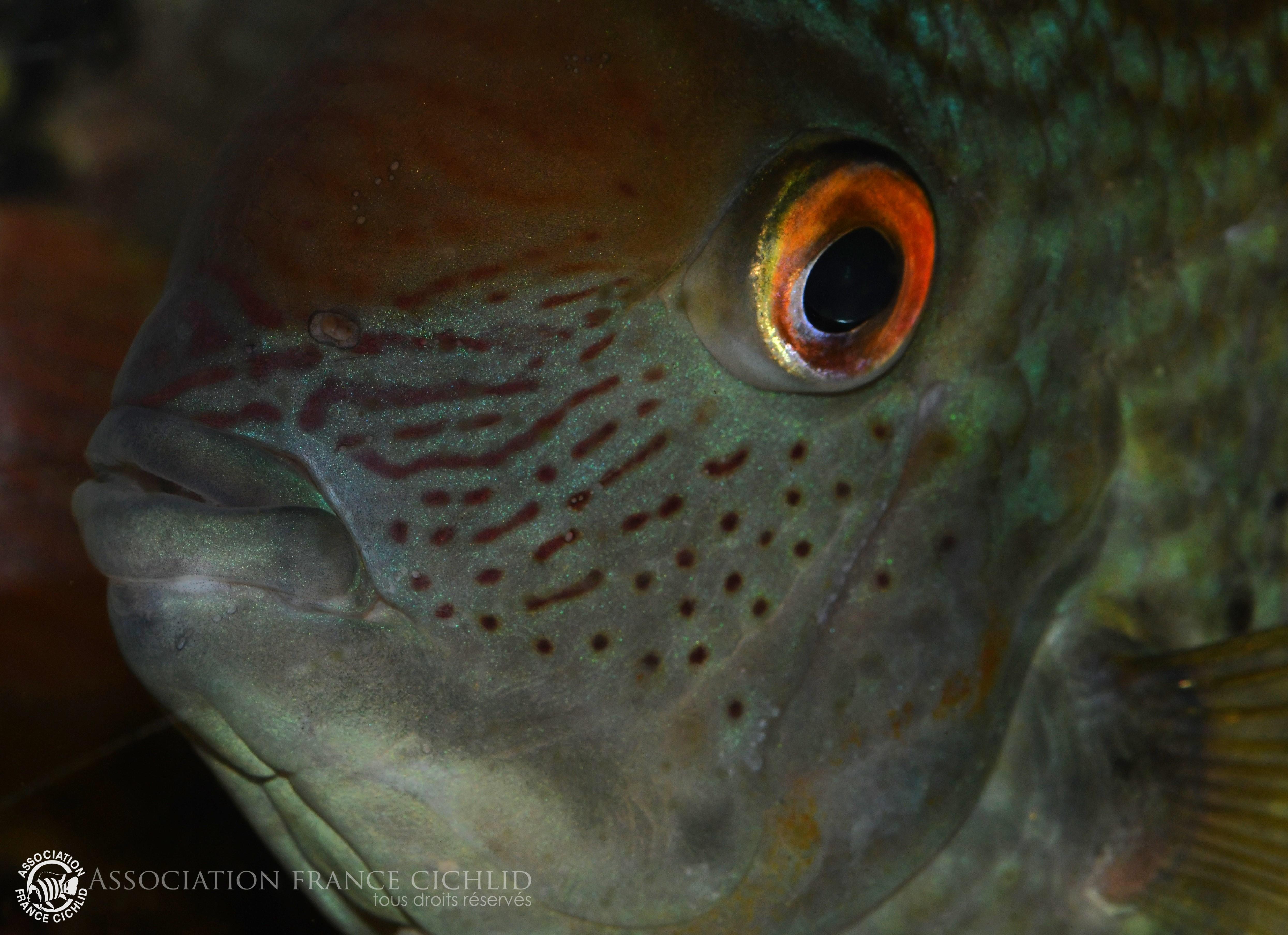 DSC_5143.JPG