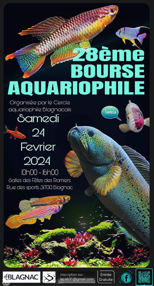 bourse_blagnac2024affiche.jpg