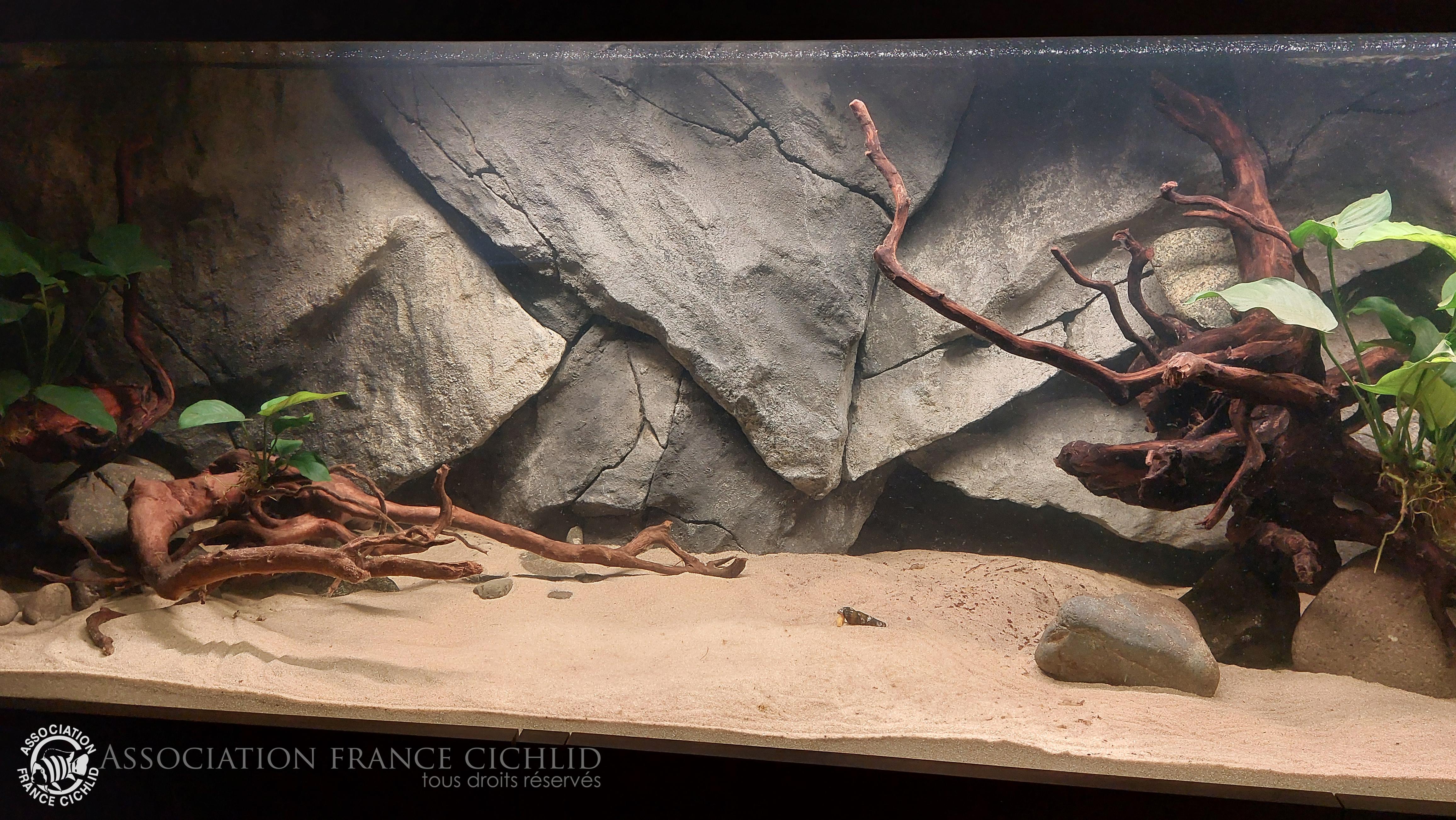 mise en place finale 1.jpg