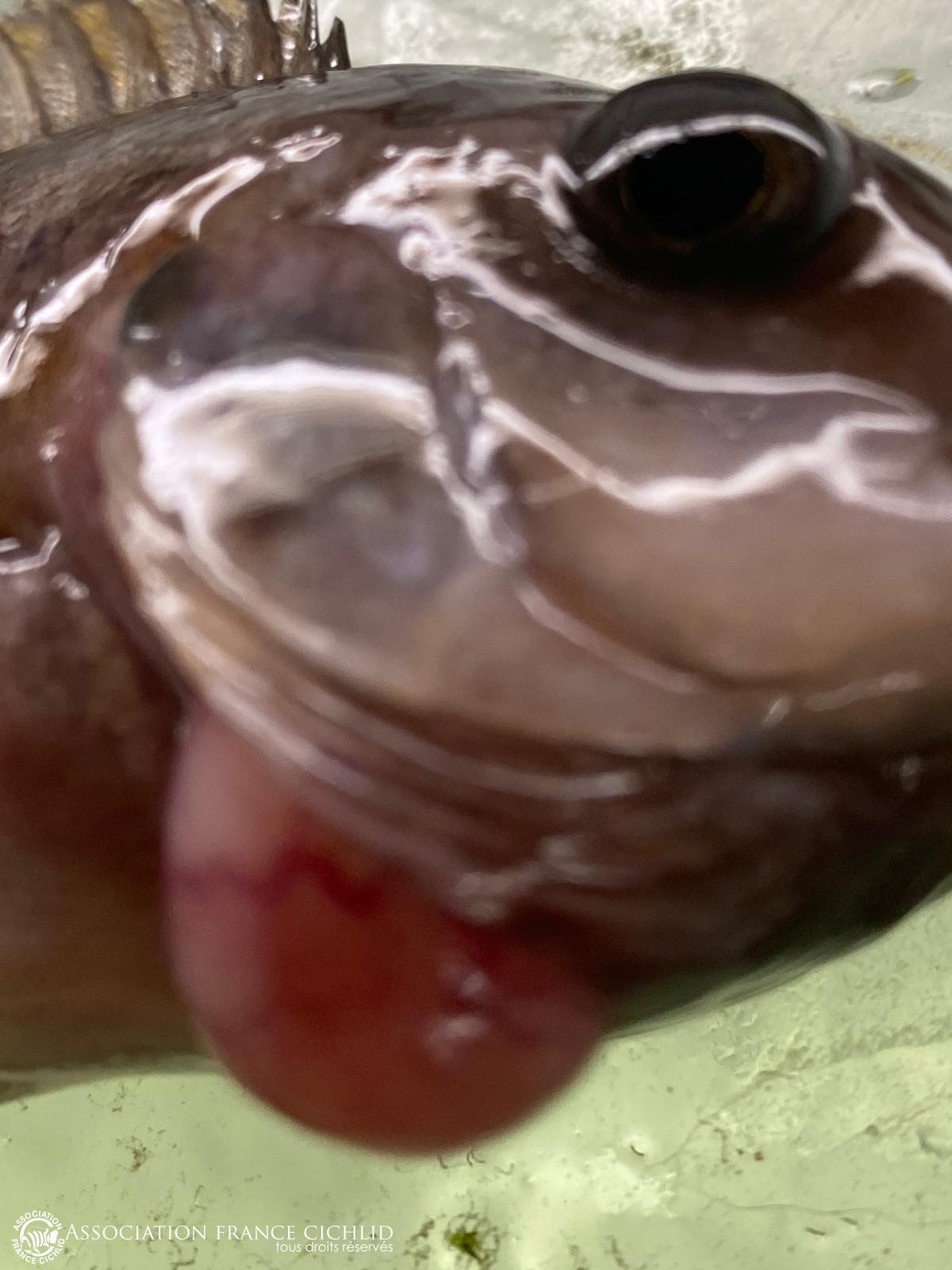 WhatsApp Image 2025-12-04 at 16.57.22 (4).jpeg