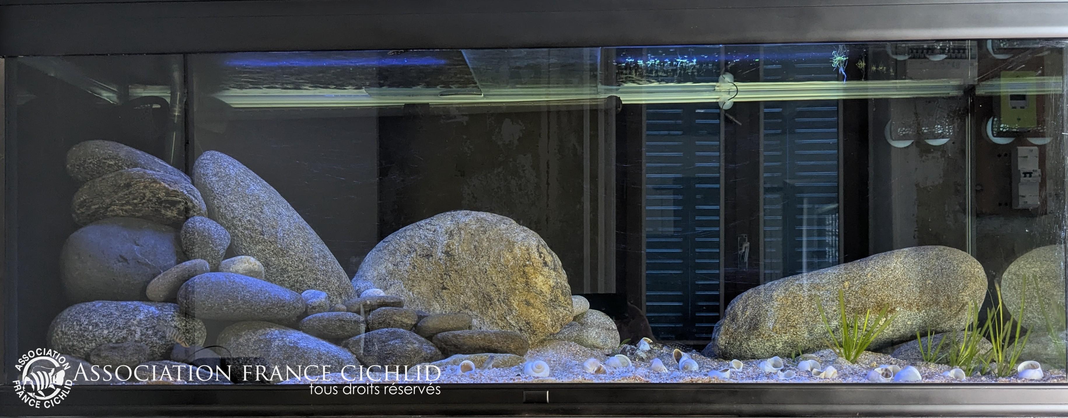 Petite vu d'ensemble, désolé pour les reflets...