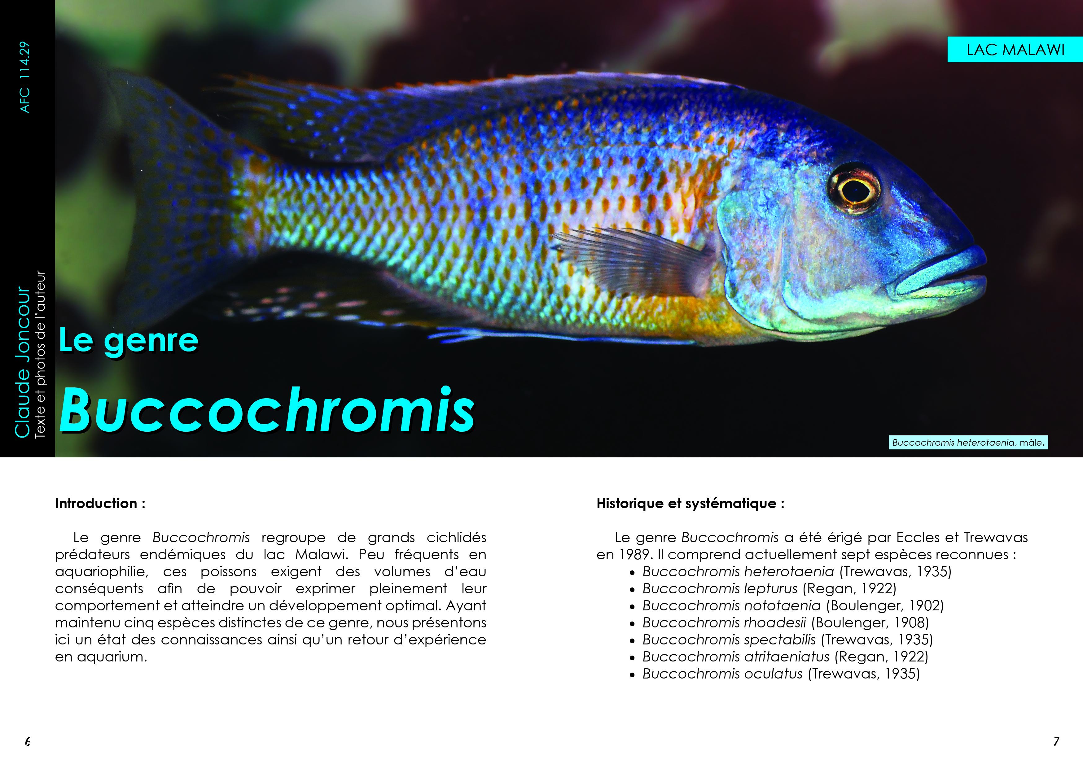 452 MARS 2026 ARTI.jpg