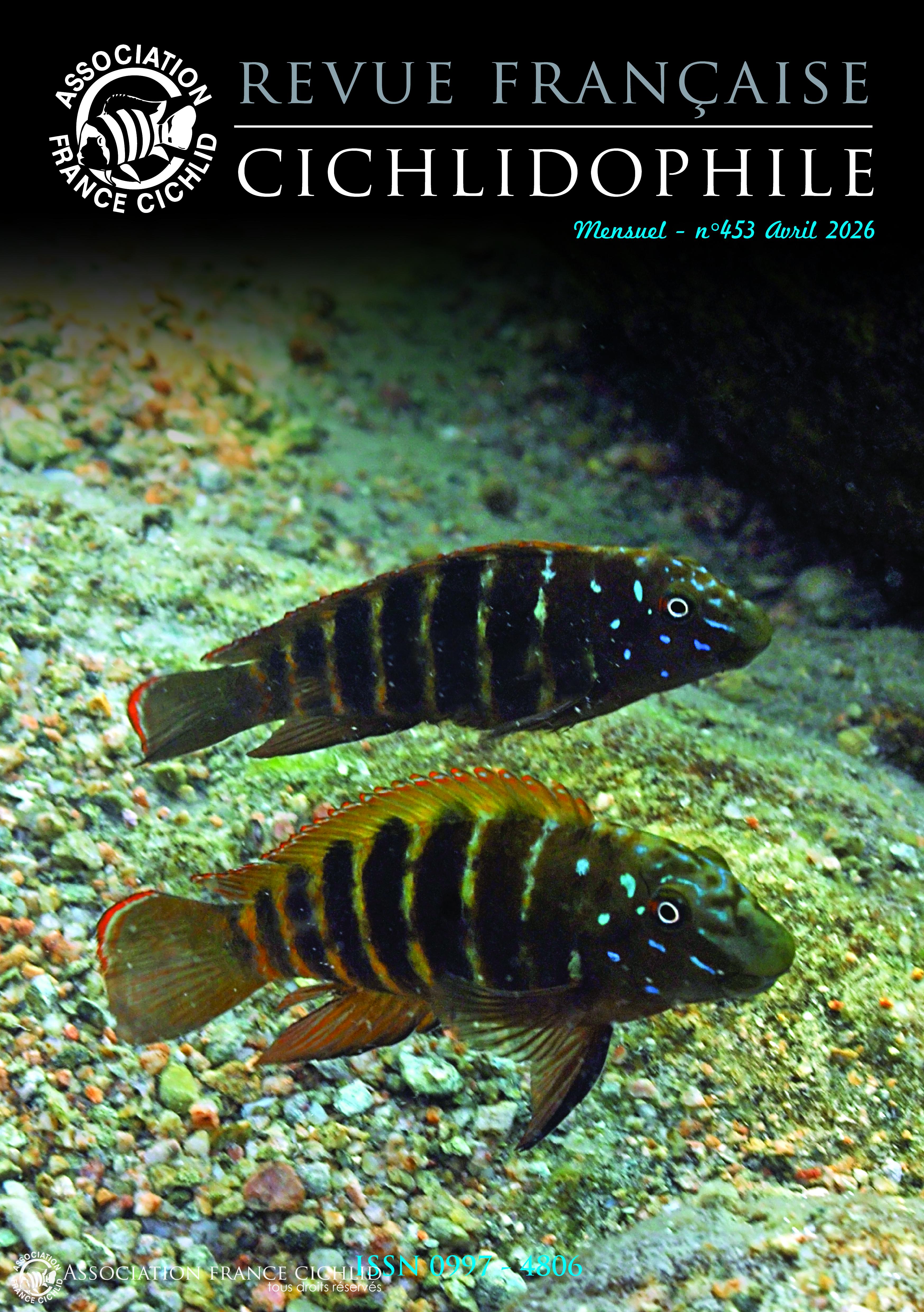453 AVRIL 2026 COUV.jpg