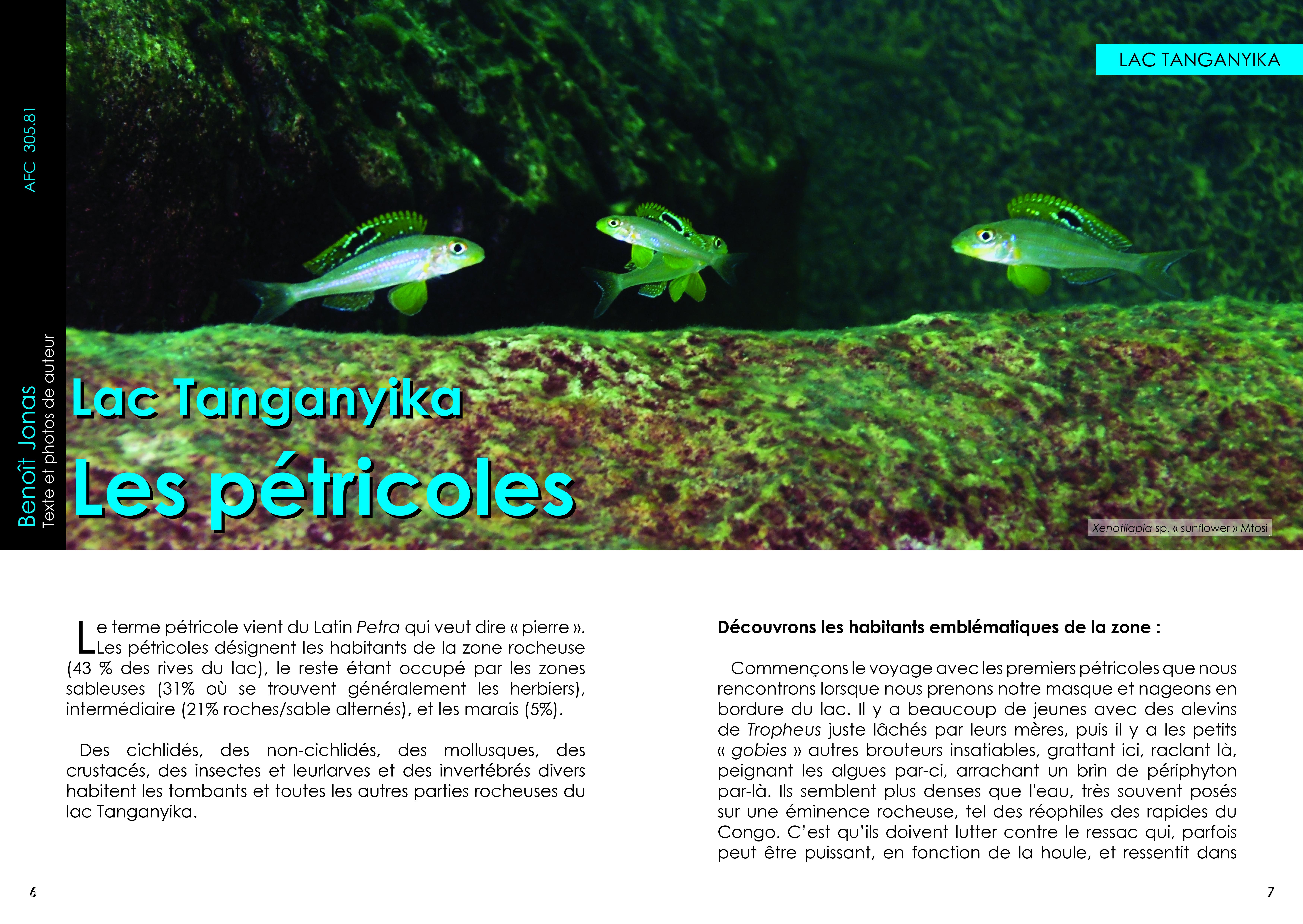 453 AVRIL 2026 ARTI.jpg