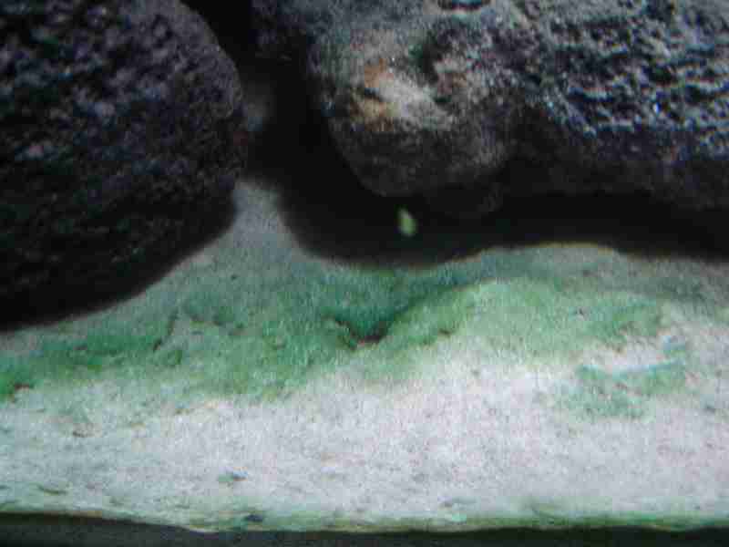 DSC05523-.JPG