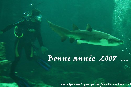 bonne année.jpg