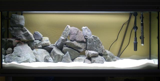 aquarium 250 043 (Small).jpg
