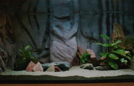 photo2.jpg