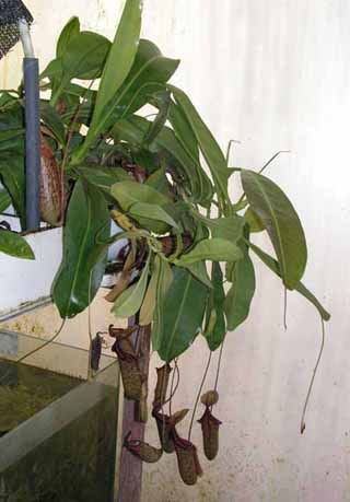 PICT0248.jpg