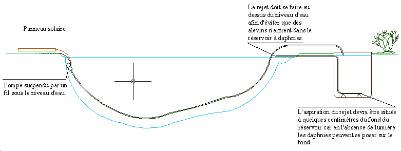 Solution hors bassin, ce sera facilement dissimulable avec des plantations ou des décorations et l'entretien sera facilité.