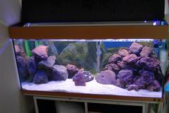 Resize of DSC_0193.JPG