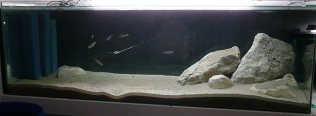 1000L sept 08 bis.JPG
