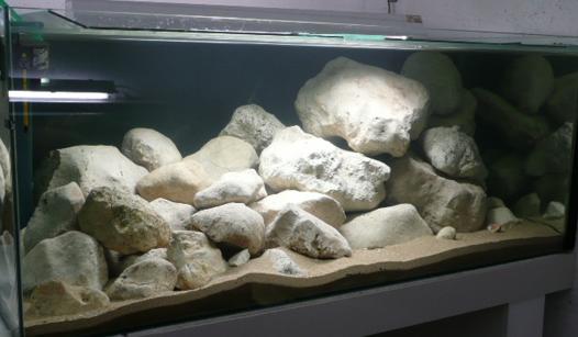 800L sept 2008.JPG