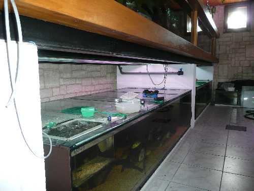 134 b.jpg