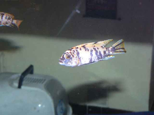 P1010113.jpg