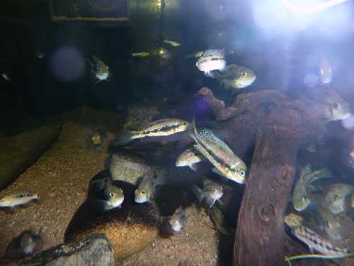 571c.jpg