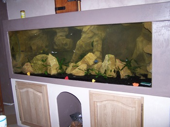 100_5390.JPG