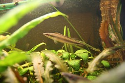 IMG_3375.JPG