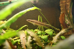IMG_3373.JPG