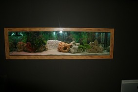 aquarium 009.jpg