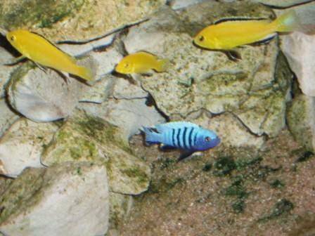 P1010007.JPG