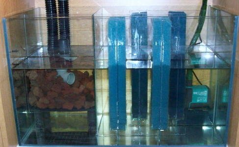 100_0990.jpg