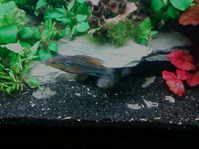 Photos-0003 (400x300).jpg