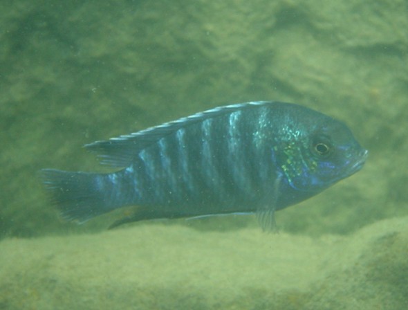 0226.JPG