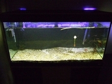 DSCF3271.JPG