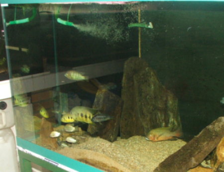 DSCF2791copie1.JPG