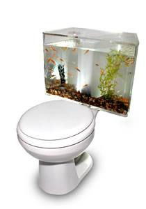 aquariass.jpg