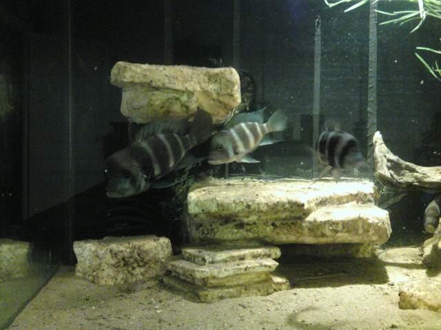 P05-01-11_20.25_640x480.jpg