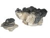 taille 18-25 cm prix au kg 2,60eur